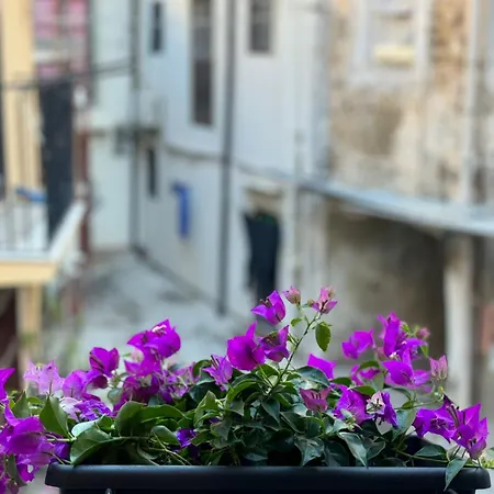 Bonito Apartment2